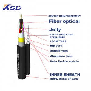 24F Aerial Self-supporting Armored Optical Fiber Cable-GYFTC8A
