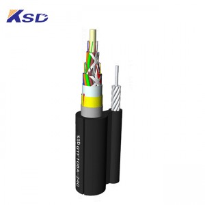 24F Aerial Self-supporting Armored Optical Fiber Cable-GYFTC8A